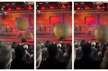 Funcionário da Disney é atingido por bola de borracha de 180 quilos em atração do ‘Indiana Jones’; VÍDEO