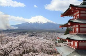 Mau comportamento dos turistas leva cidade japonesa a cancelar festival das cerejeiras em flor
