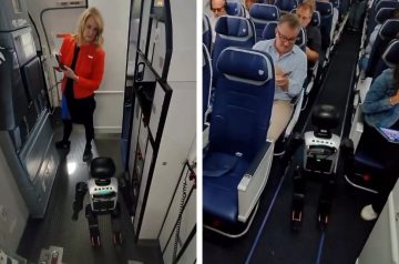 Robô viaja de avião como passageiro, vira alvo de nova regra e reclama de proibição: ‘Conspiração’