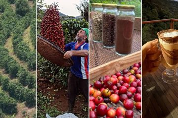 Do grão à experiência: como o Caparaó transforma café em produto turístico e amplia o potencial do Sul do ES