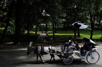 Nova York quer proibir passeios de carruagem no Central Park após morte de adolescente